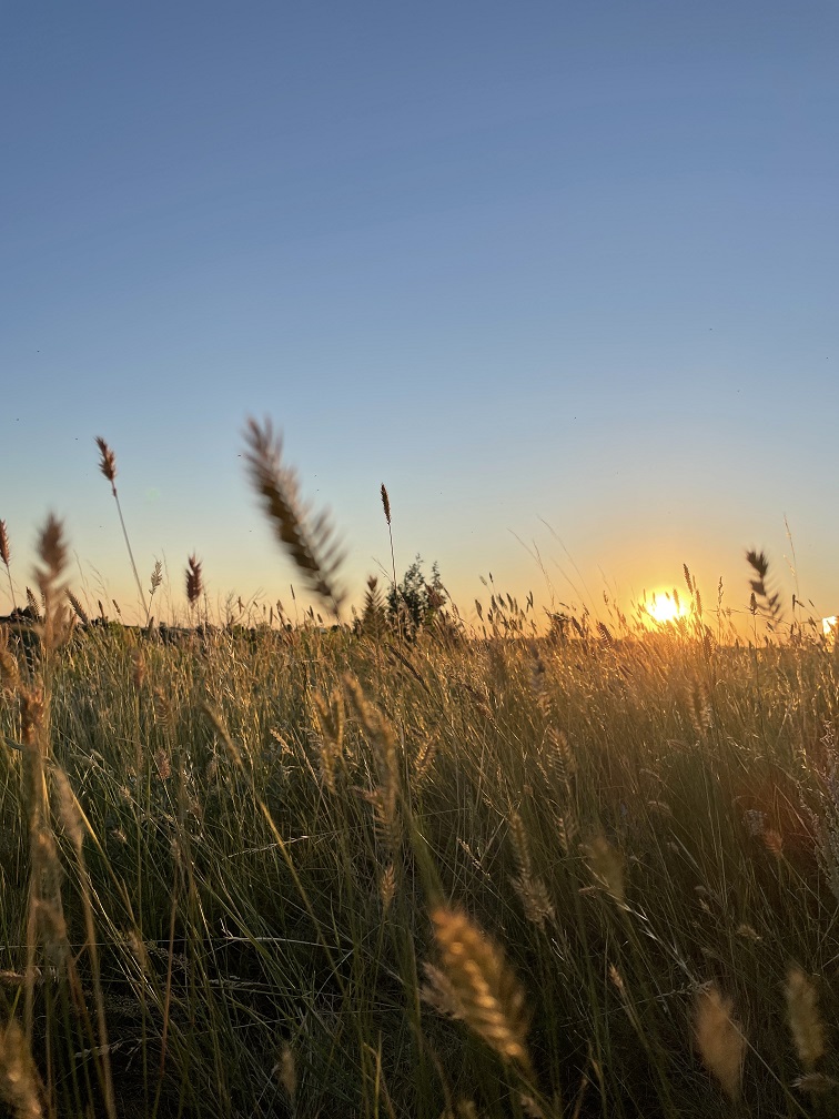 RV Boondocking : Unexpected Excitement in North Dakota – Allie Rambles